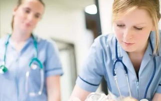 新西兰三大性价比较高的专业 高考学子的信赖之选