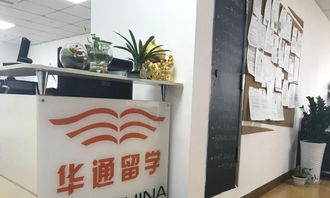 绵阳华通留学 通往美国名校的专业桥梁与全面信息指南